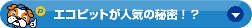 エコピットが人気の秘密！？